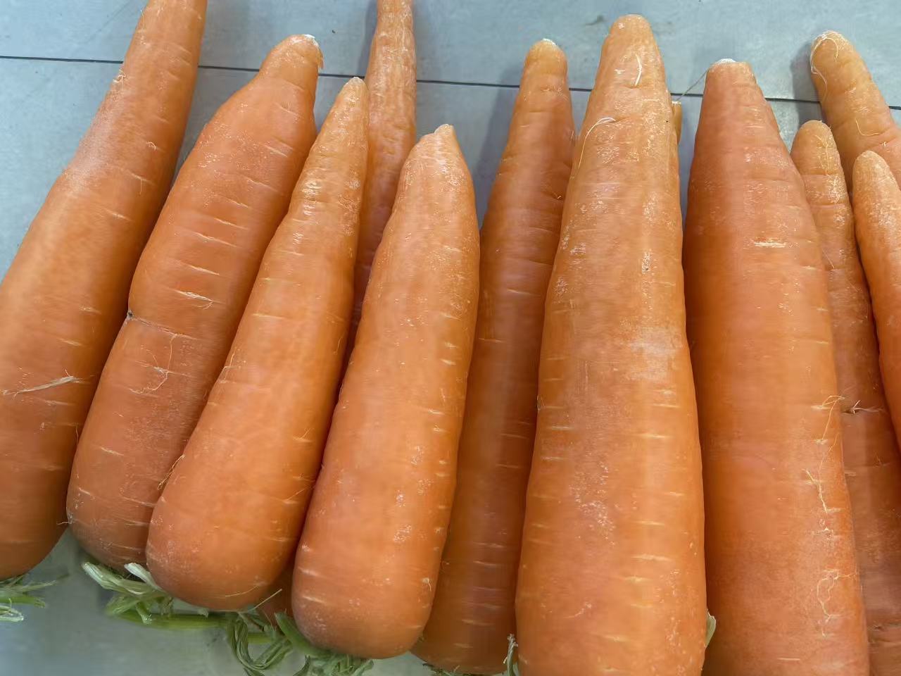胡萝卜