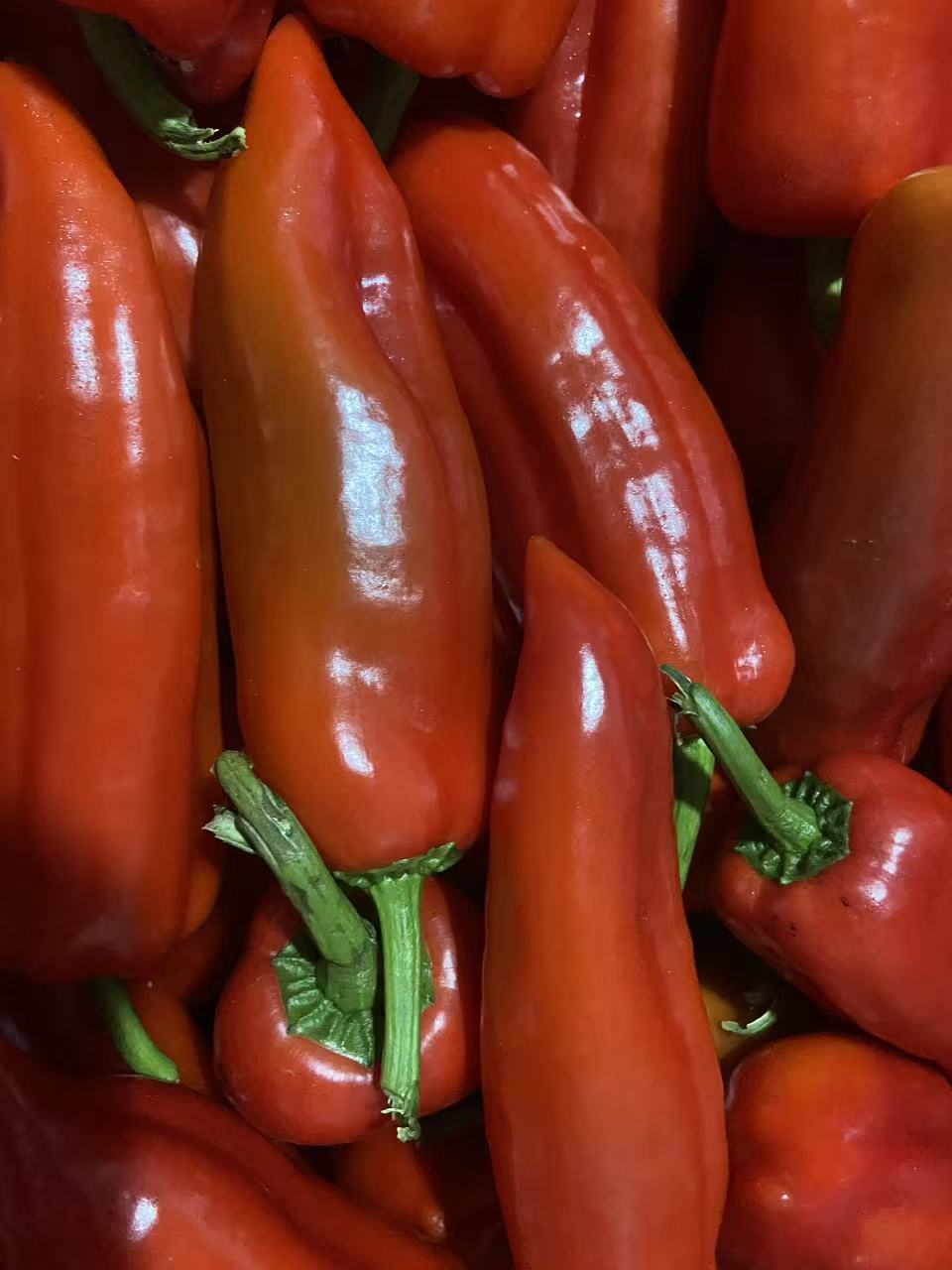 红辣椒